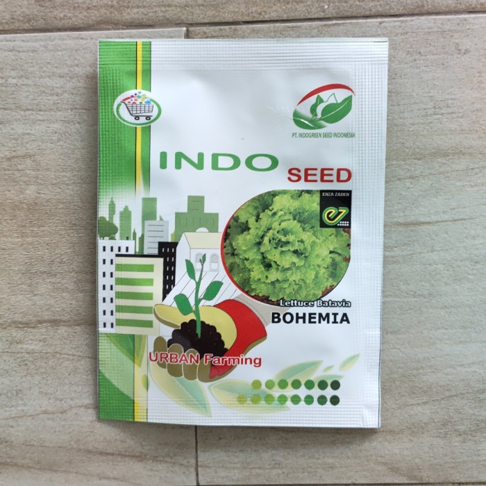 (TERBARU) Benih Selada Lettuce Batavia Bohemia - INDO SEED