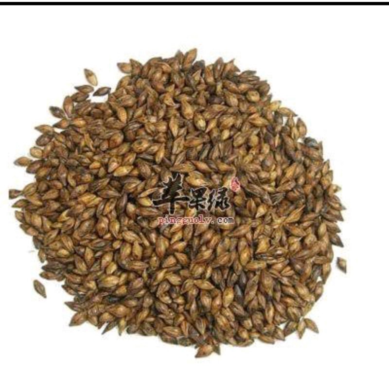 

600 G GR GRAM 炒谷芽 炒稻芽 CHAO GU YA DAO YA FRUCTUS ORYZAE SATIVAE GERMINATUS FRIED RICE MILLET SPROUT