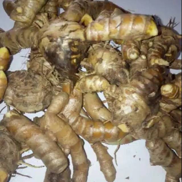 

1Kg Temulawak segar organik Temu lawak di ambil dari alam