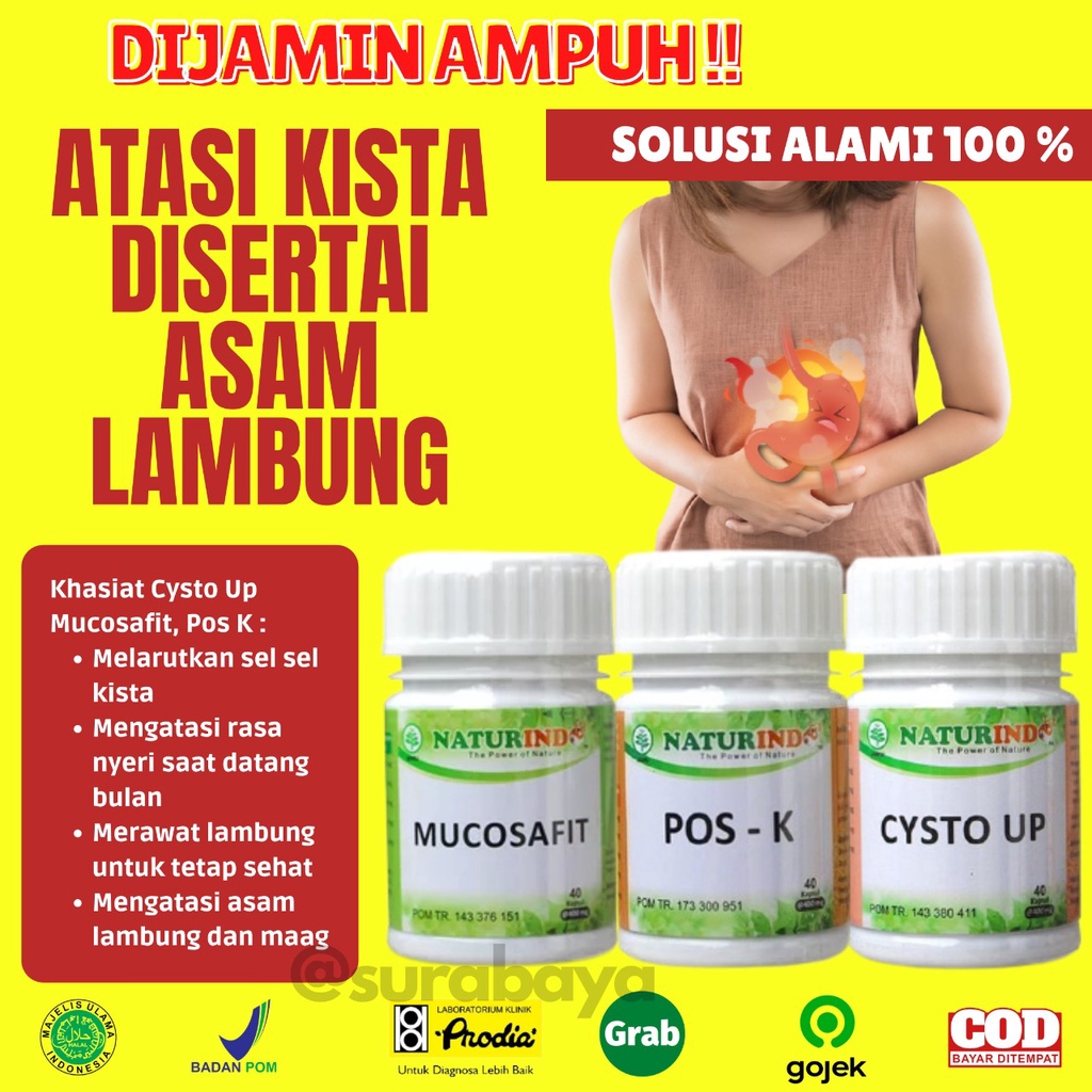 Obat Kista dan Miom Ovarium Obat Herbal Kista Bartholin Obat Penyakit Rahim Obat Cista Cysta Obat Miom Myom Coklat Obat Kista Endometriosis Ampuh Jamu Herbal Kista Miom Tumor Mioma Ampuh BPOM HALAL MUI CYSTO UP Naturindo Surabaya 40 Kapsul-KISTA+ASAM LAMBUNG