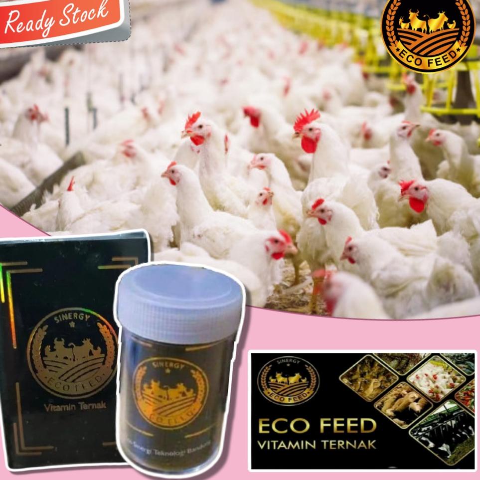 [PRODUK ENBBR] Penggemuk Ayam Super Cepat - Vitamin Untuk Pakan Ternak Ayam Boiler Kampung BISA COD 