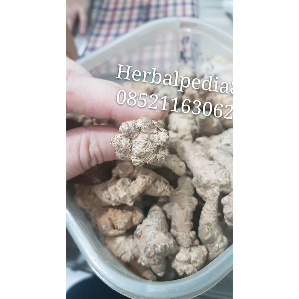 

San qi 田七 tian qi notoginseng radix 100gram