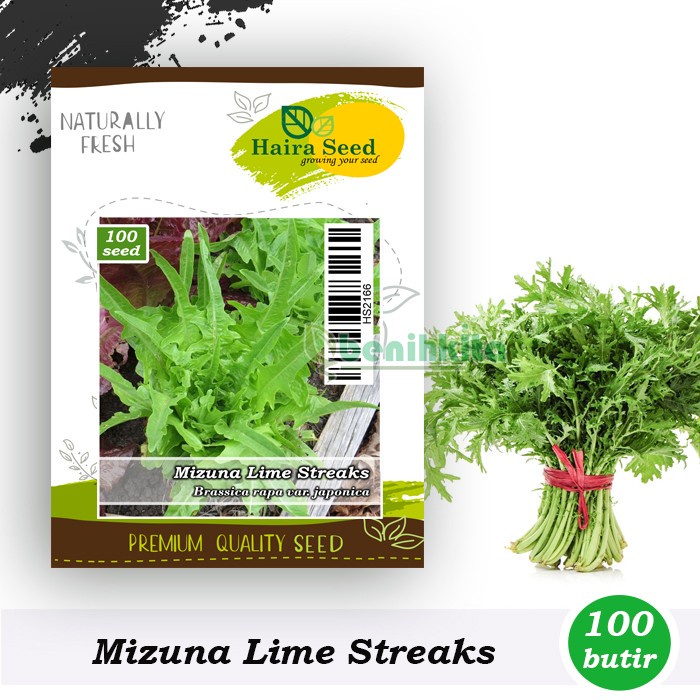 Benih-Bibit Mizuna Lime Streaks (Haira Seed)