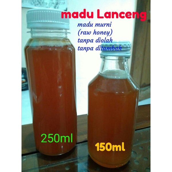 

MADU KLANCENG liar/madu kelulut belah bambu/ madu trigona/ madu Lanceng