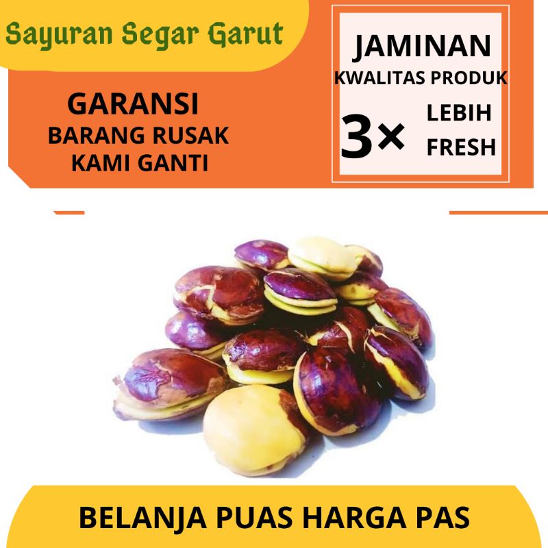 

Jengkol Tua Besar Murah 250gr by Sayuran Segar Garut