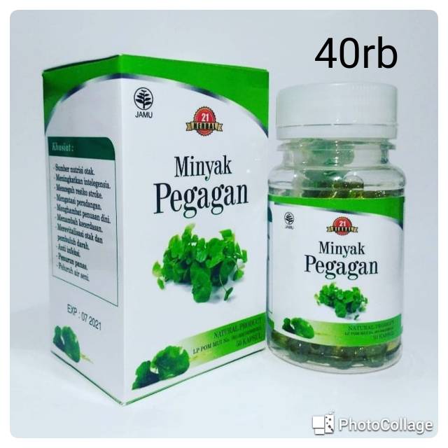 Kapsul minyak pegagan