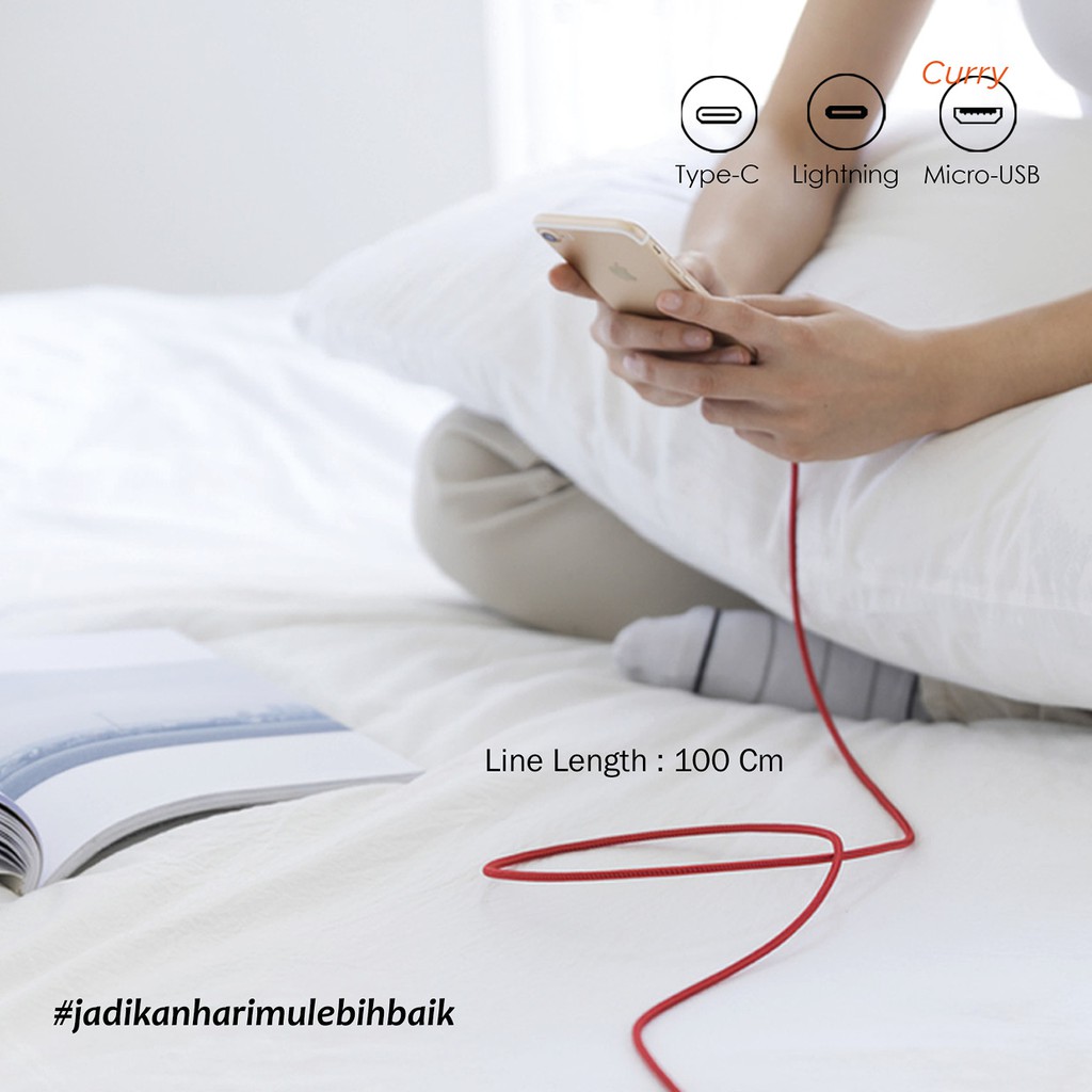 Kabel USB DATA Jete Curry 2.4A Iphone Original