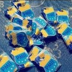 Gardon PMII, kalung PMII 1960