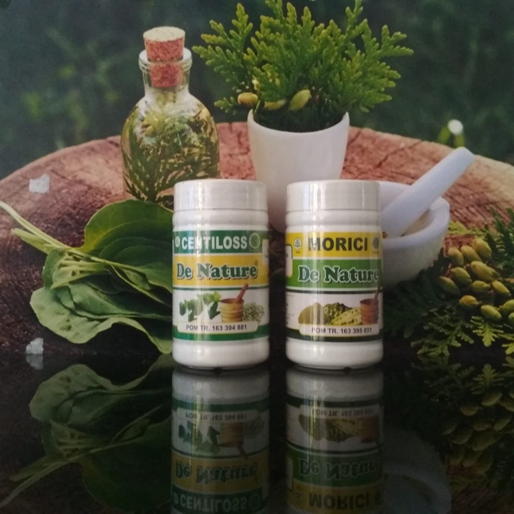CENTILLOS MORICI DE NATURE OBAT HERBAL STROKE