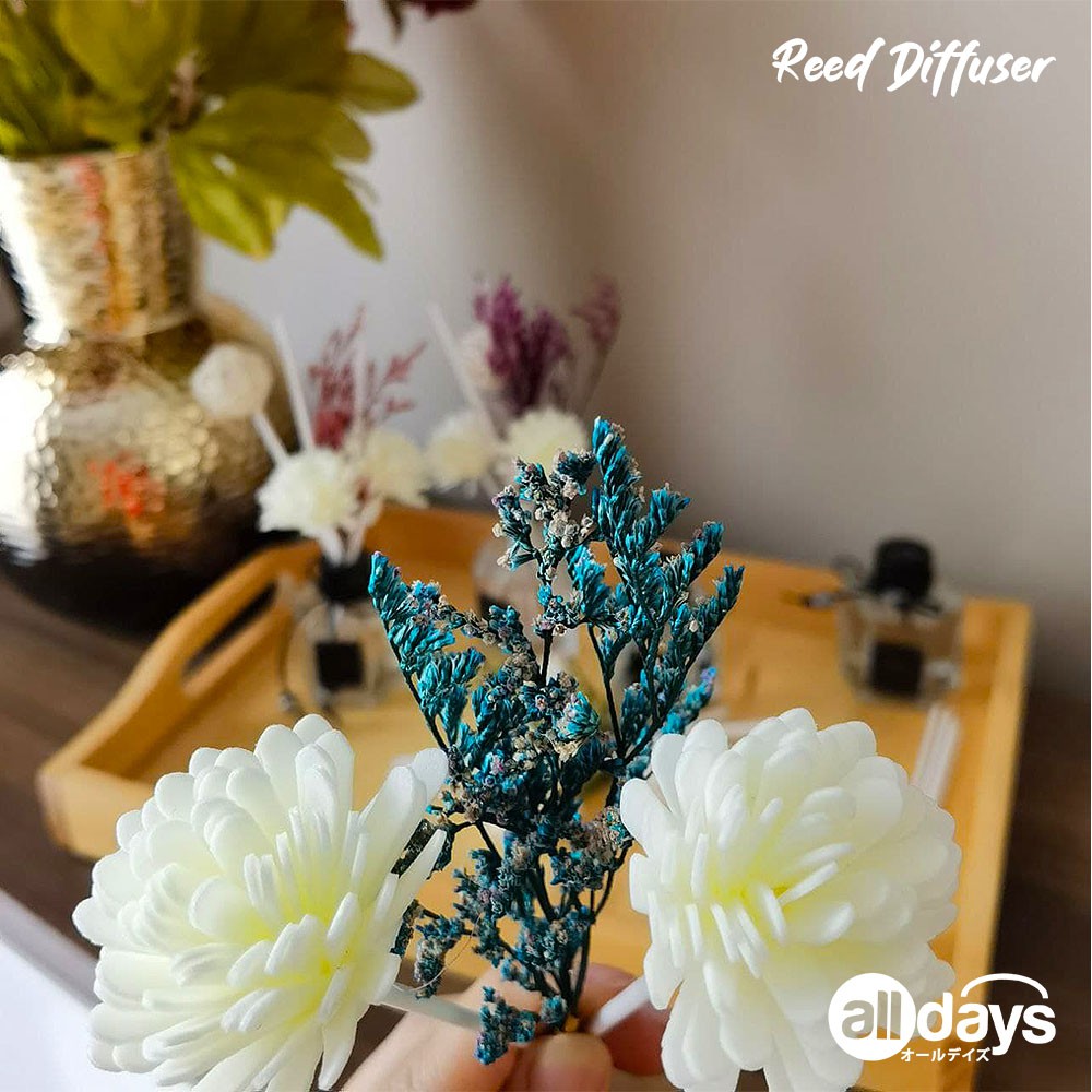 Alldays Reed Diffuser Aromatherapy Pengharum / Pewangi Ruangan Floral Hexagonal 10 Varian