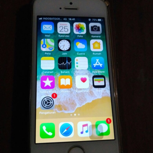 Iphone 5s 16 gb