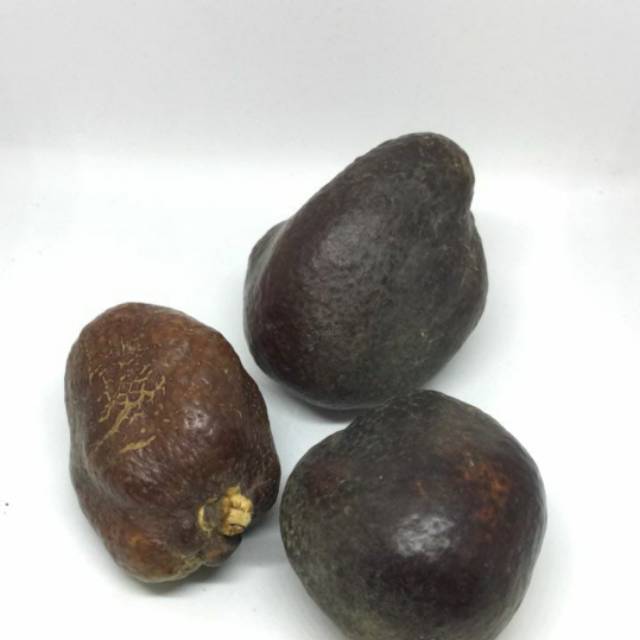 

Zuriat madinah UTUH 1KG