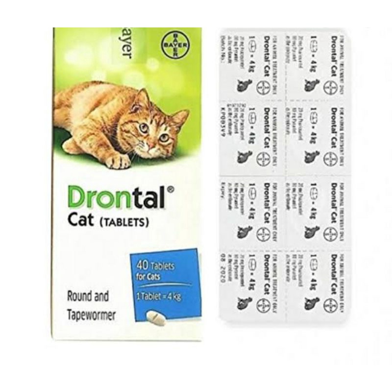 DRONTAL CAT