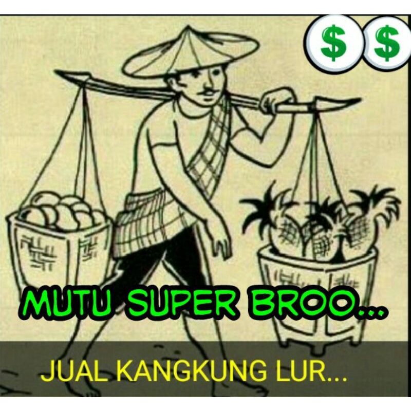 BIBIT KANGKUNG SAYUR 1KG MUTU BAGUS .POLESAN.