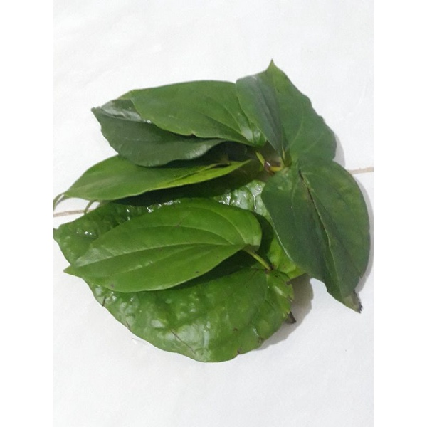 

daun sirih per10 pic