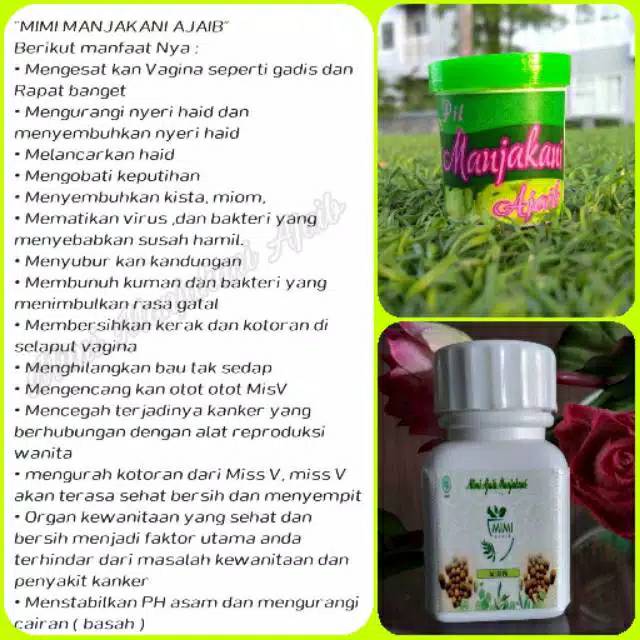 MIMI AJAIB MANJAKANI ORIGINAL