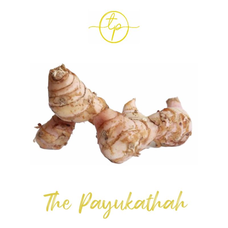 

Lengkuas / lengkoas Kemasan Per Pack / Bumbu Rempah Dapur Empon Empon