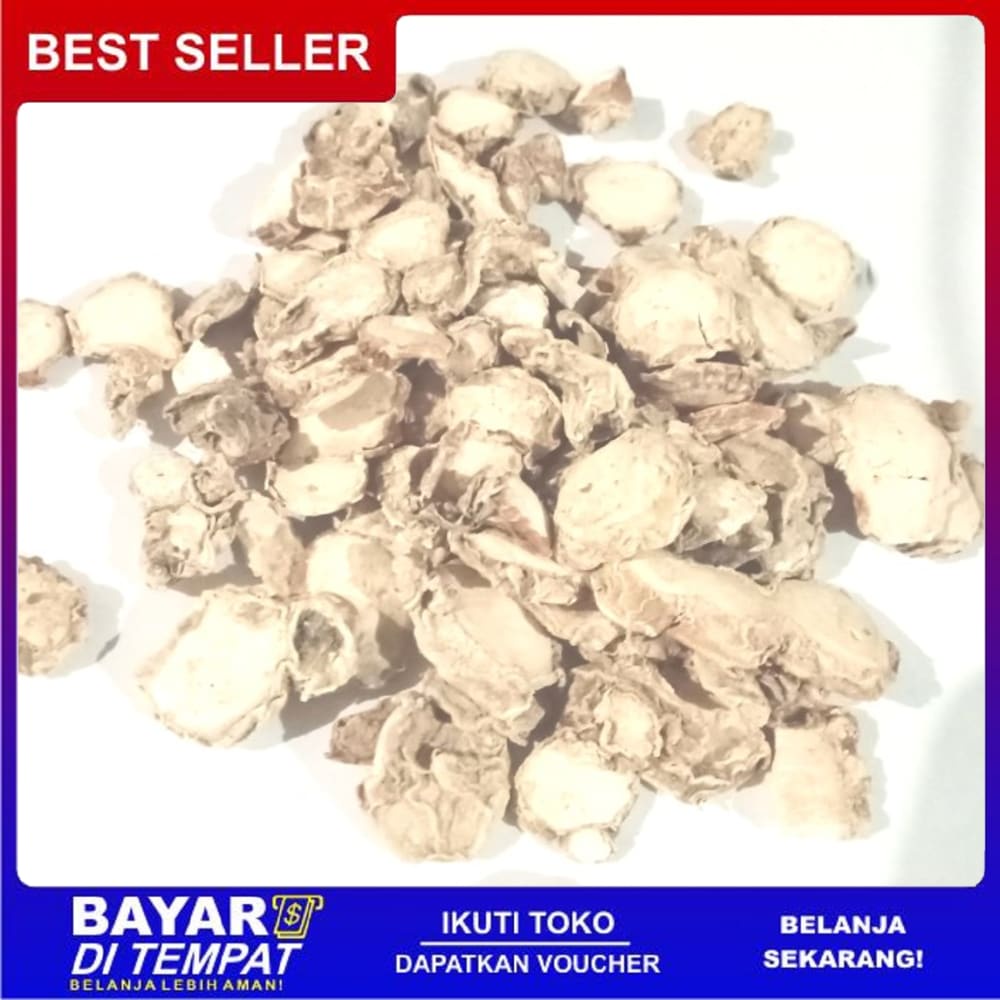 

Ts Murah [50gr] kencur kering kwalitas premium