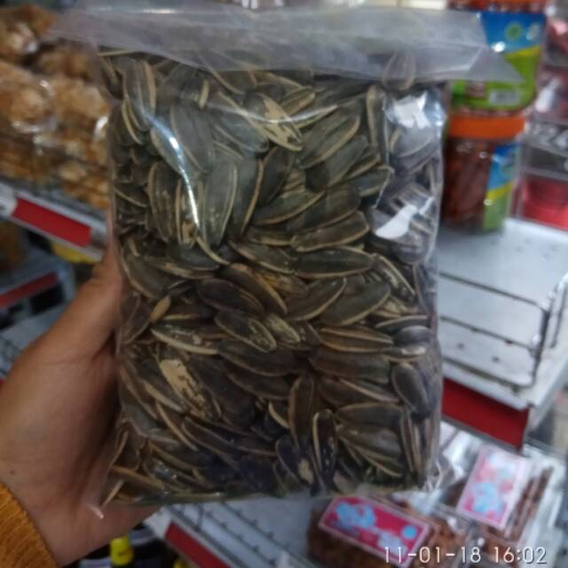 

Kuaci matahari