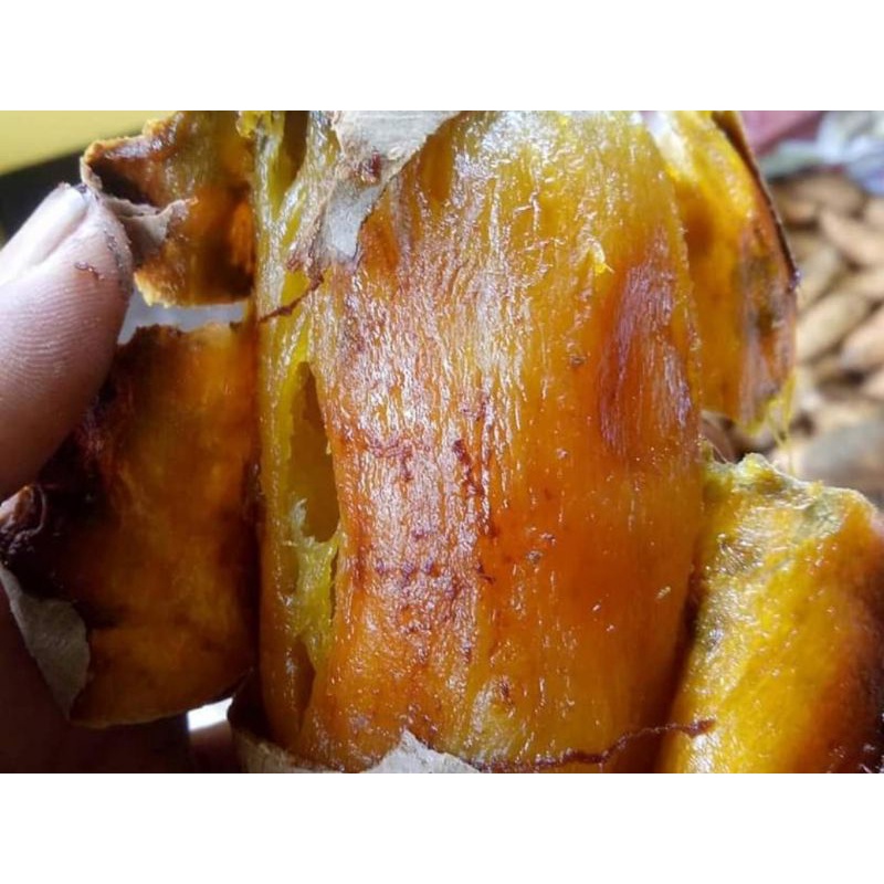 

Ubi Madu Cilembu Mateng