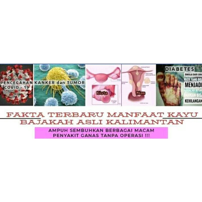akar kayu bajakah kalalawit asli kalimantan 1kg