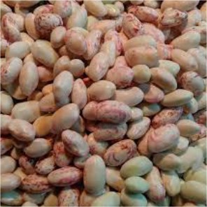 

Kacang Endul / 250gr #Segar#Online#Bandung#Cimahi