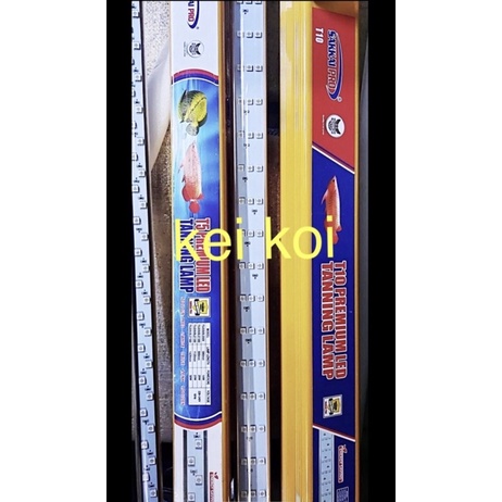 LAMPU TANNING SAKKAI PRO T5 600 DOUBLE LED