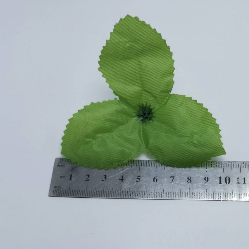 

Daun africial cabang 3