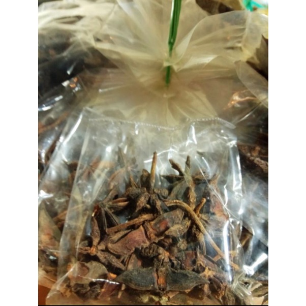 

Bunga Lawang | Kayu Manis | Kapolaga