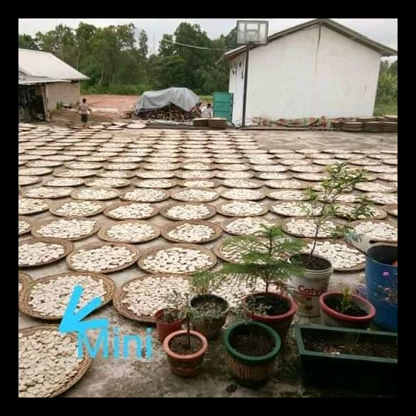 

KEMPLANG/KERUPUK MINI SUPER IKAN TENGGIRI KHAS PALEMBANG BERKUALITAS