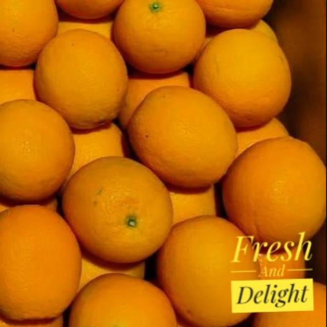 

Jeruk Peras Sunkist Import Premium