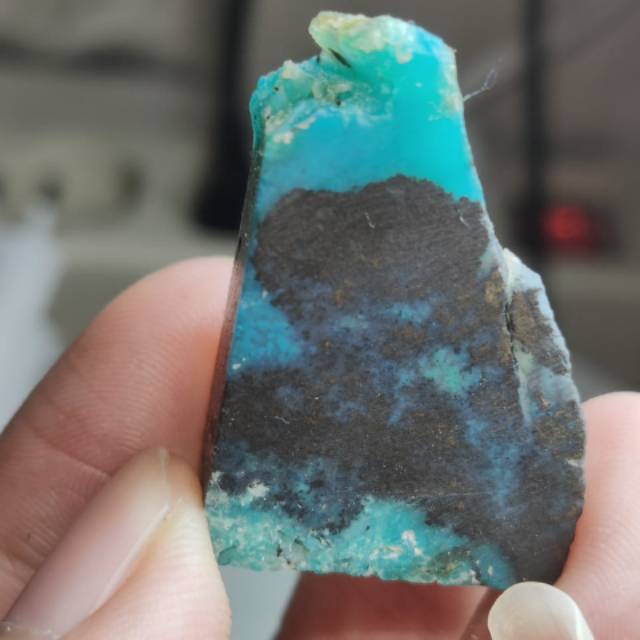 Bacan kembang jumbo