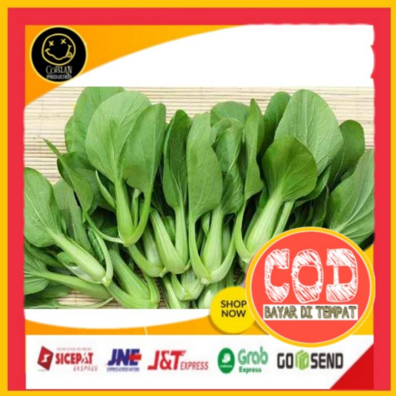 

Pakcoy 500g Sayuran Segar Sayuran Fresh Sayuran Organik Sayuran Online Sayuran Terlaris