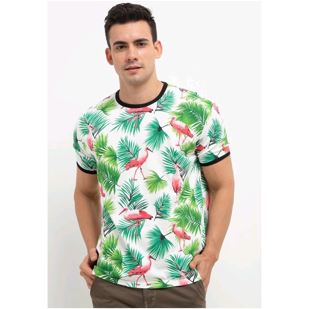 KAOS LOIS ORIGINAL KSL2036