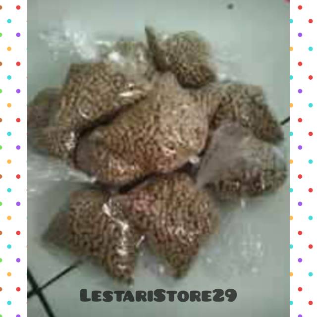 Umpan Pelet Sinta