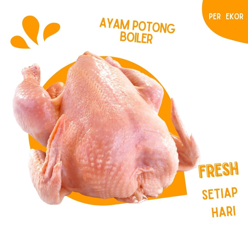 

DAGING SEGAR AYAM POTONG BOILER AYAM PEDAGING SEGAR MURAH PASAR ONLINE MAKASSAR