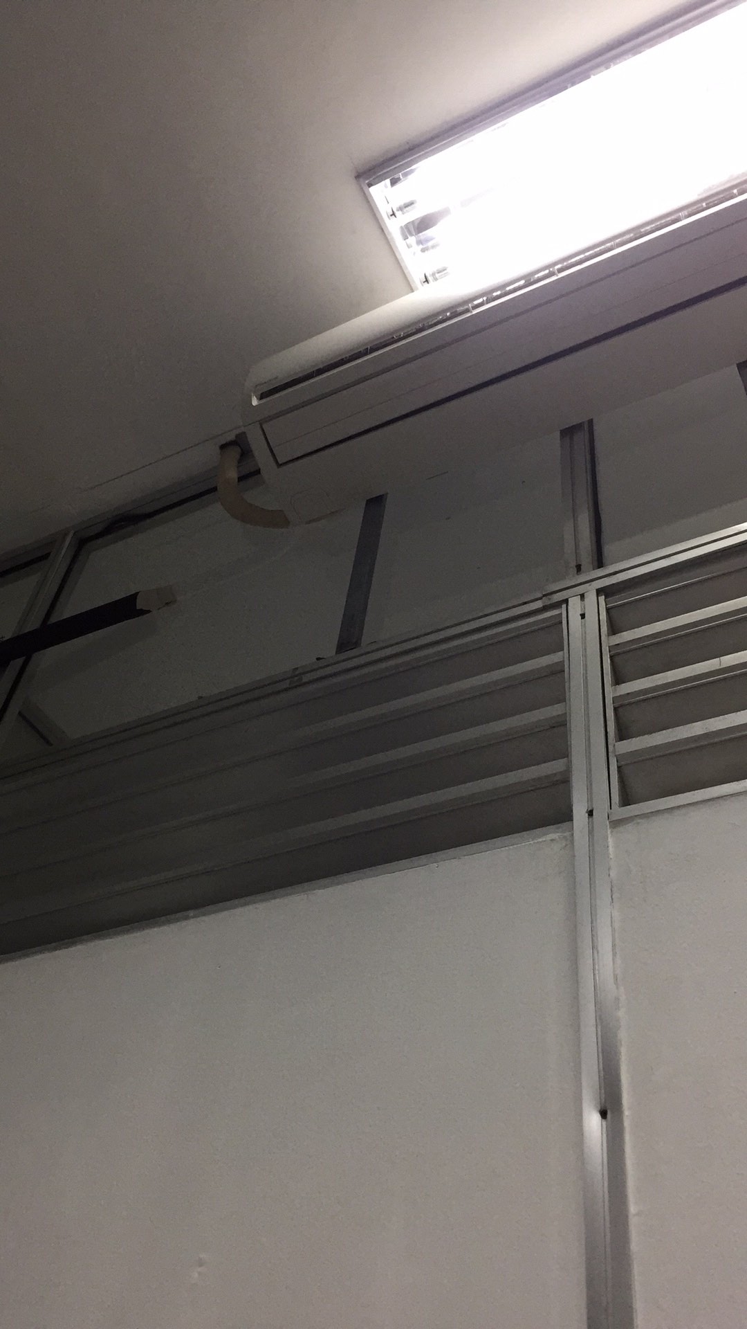 Dispenser Odol Pasta Gigi Dan Sikat Gigi