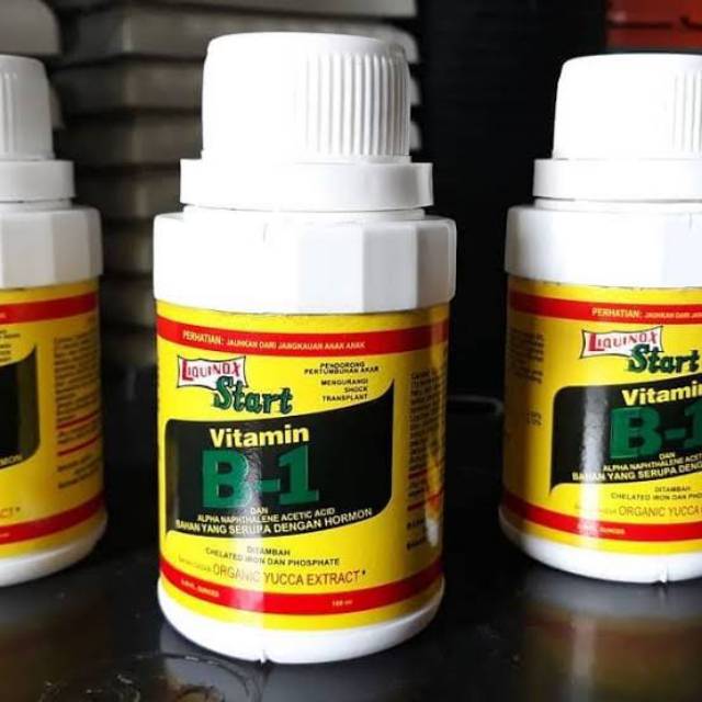 Pupuk Liquinox start vitamin b-1
