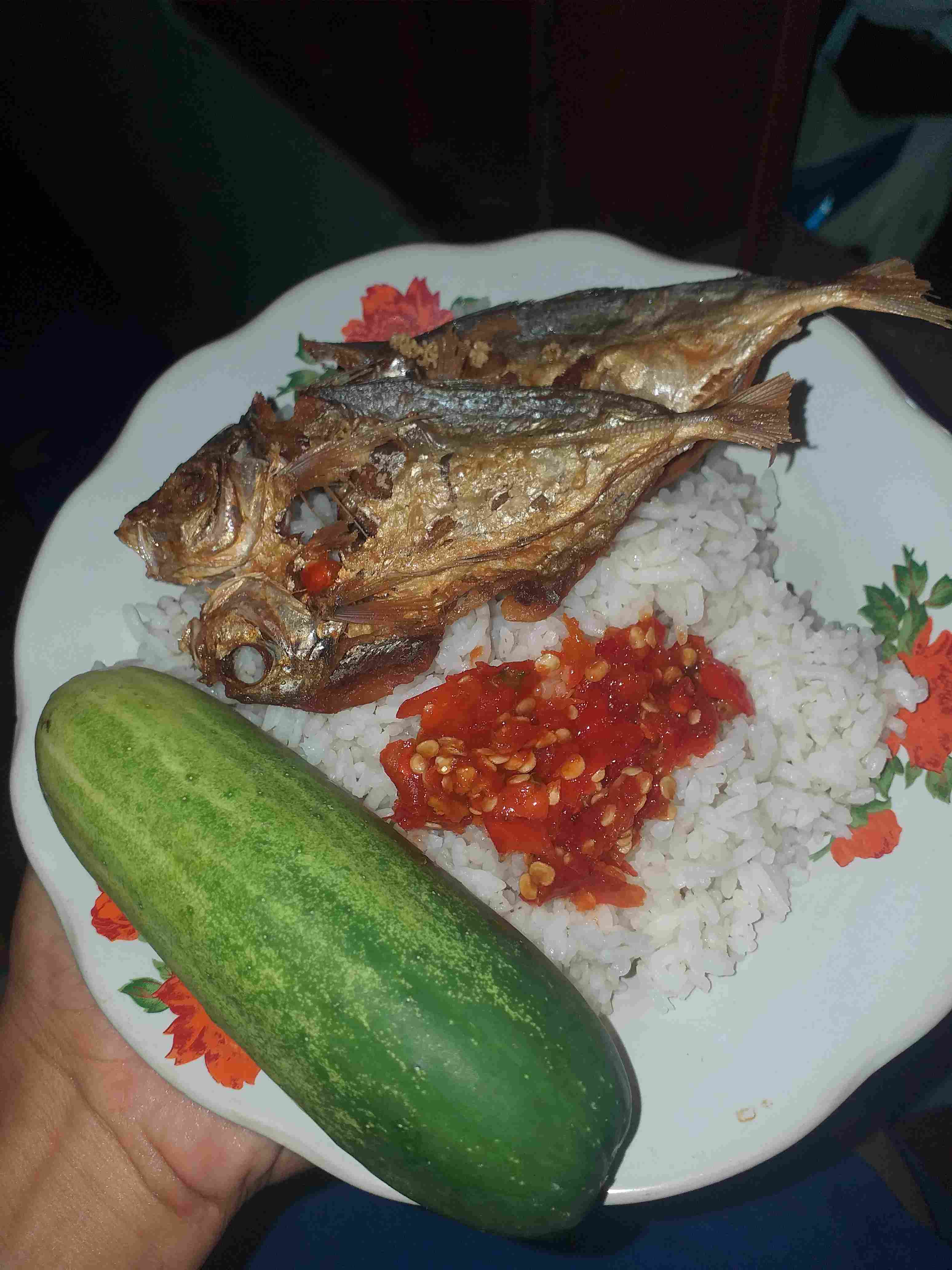 Tang Buaya Chrome 10inchi Camel