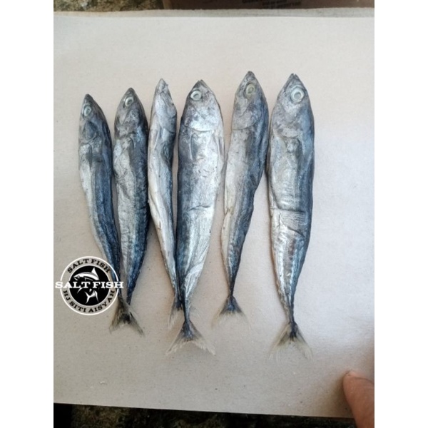

ikan asin TONGKOL UTUH fresh ; 250 gram