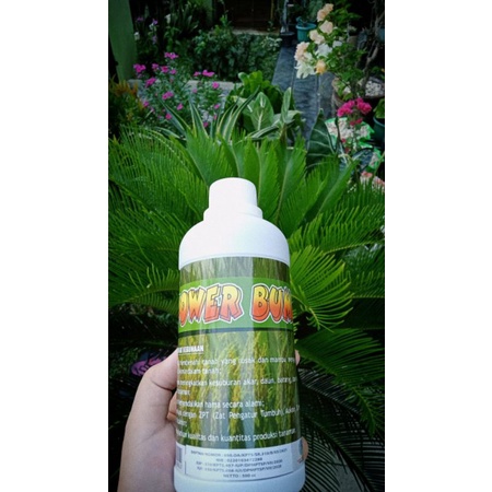 Pupuk Organik Cair POWER BUMI 1 LITER