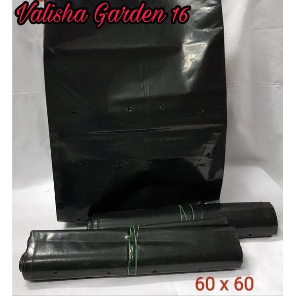Polybag Tebal Tanaman Besar Ukuran 60 x 60 Cm