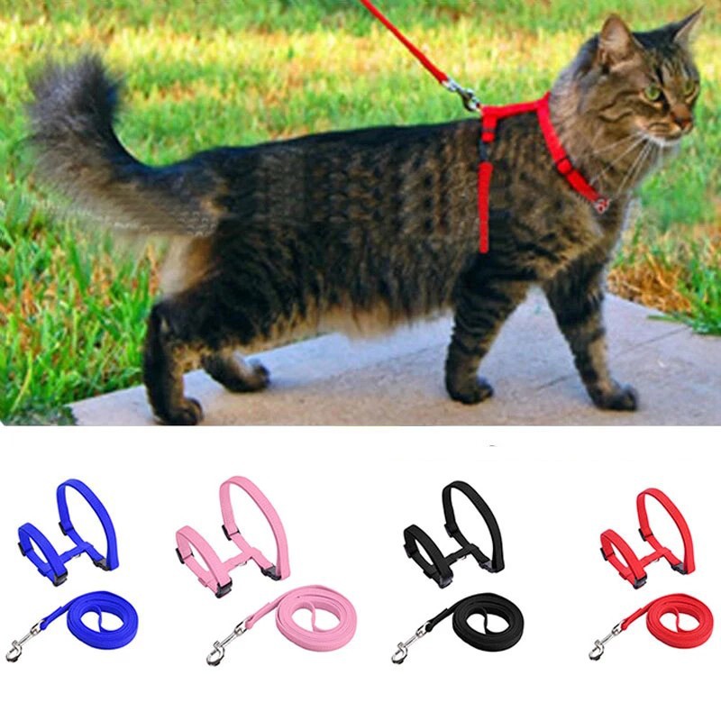 Tali Tuntun Harness Adjustable Bahan Nilon Untuk Anjing / Kucing Peliharaan