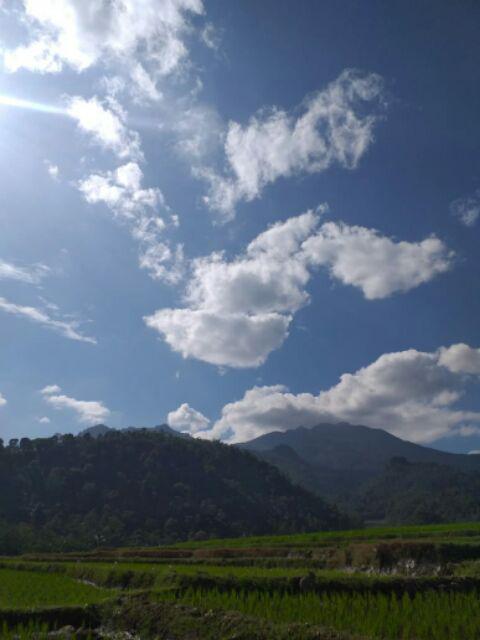 [ Termurah ] Kemeja Batik Pria Lengan Pendek Slimfit Kemejamodern Batikmodern Batiksolo Batik Trend