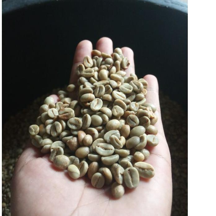 

SHOPEE 5.5 asalan arabika temanggung [KODE 270]