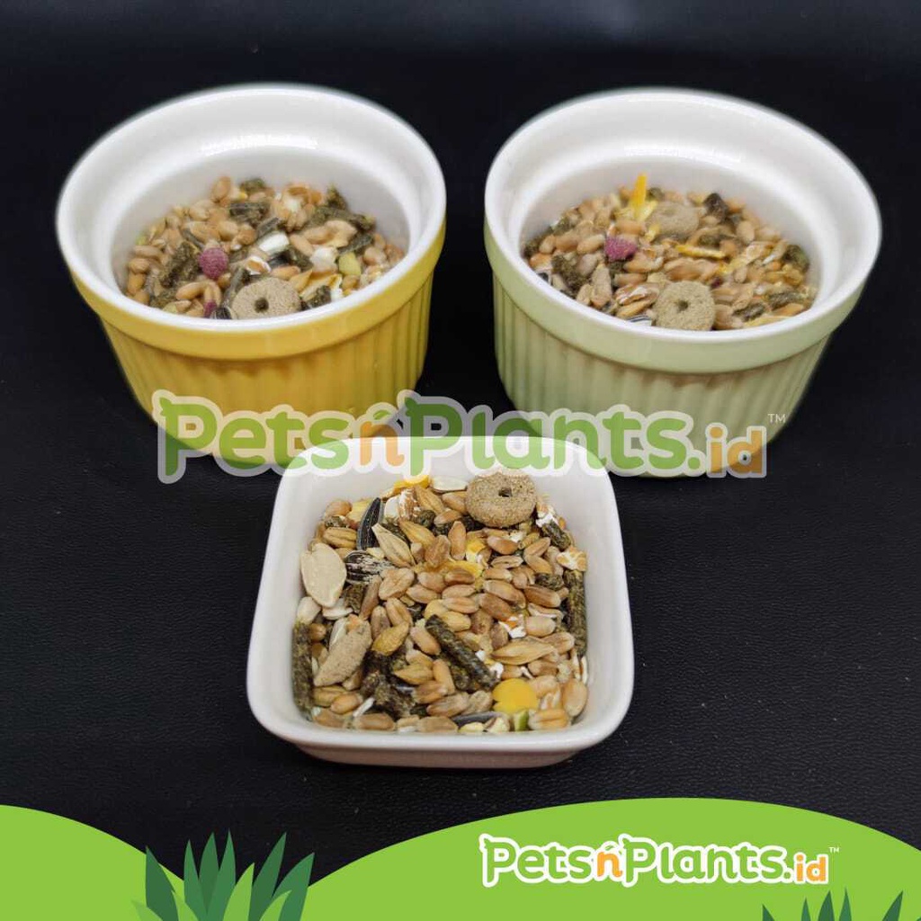 Tempat Makan Hamster Small Pet Keramik Import Bulat dan Persegi Polos