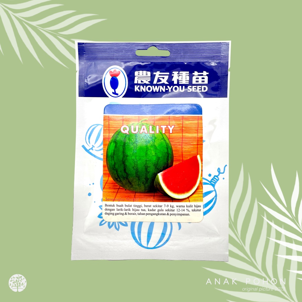 (1 PACK) Benih Semangka Merah Non Biji Seedless Quality Hibrida F1 - Known You Seed KYS - 20 GRAM