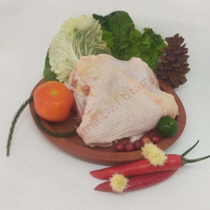 

(BISA COD) boneles paha kulit - BLP Kulit -fillet paha kulit - Daging paha kulit