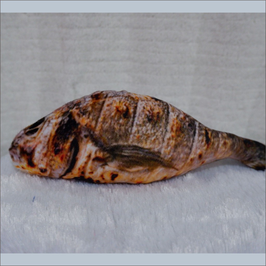 Bizzarpillow Bantal Ikan Bakar Size L BZ075