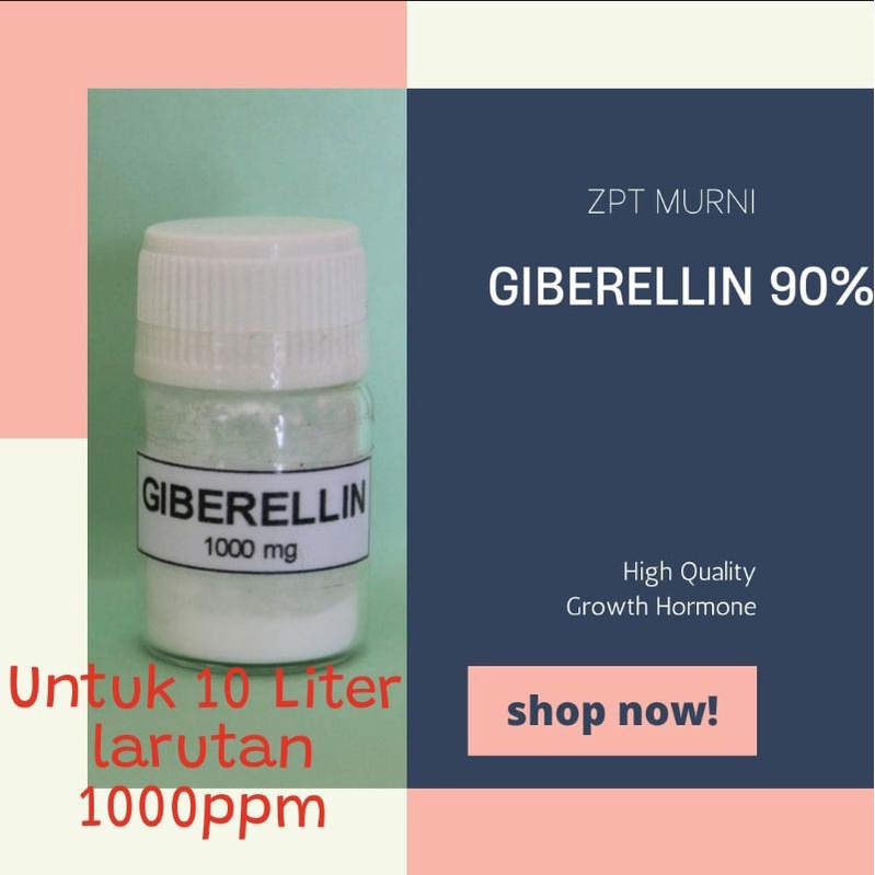 ZPT Giberellin GA3 serbuk murni 90% netto 1000mg untuk larutan 10liter dengan 1000ppm